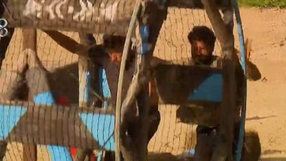 Survivor’da Dengeler Değişti! Lina’dan Sonra İkinci Eleme Adayı Kim Oldu? Konseyde Şok İsim...