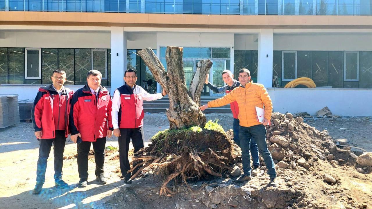 Yeni hizmet binası zeytin ağacıyla taçlandı