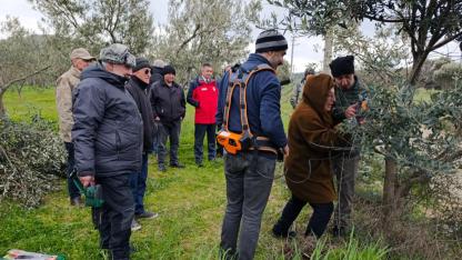 Zeytinde Verimi Artıracak Hamle! Bozcaada’da Üreticilere Kritik Eğitim
