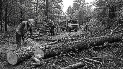 ANAFARTALAR ORMAN İŞLETME MÜDÜRLÜĞÜ