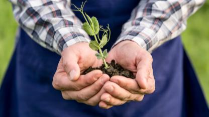 Bu Toprak Kimi Doyuruyor?