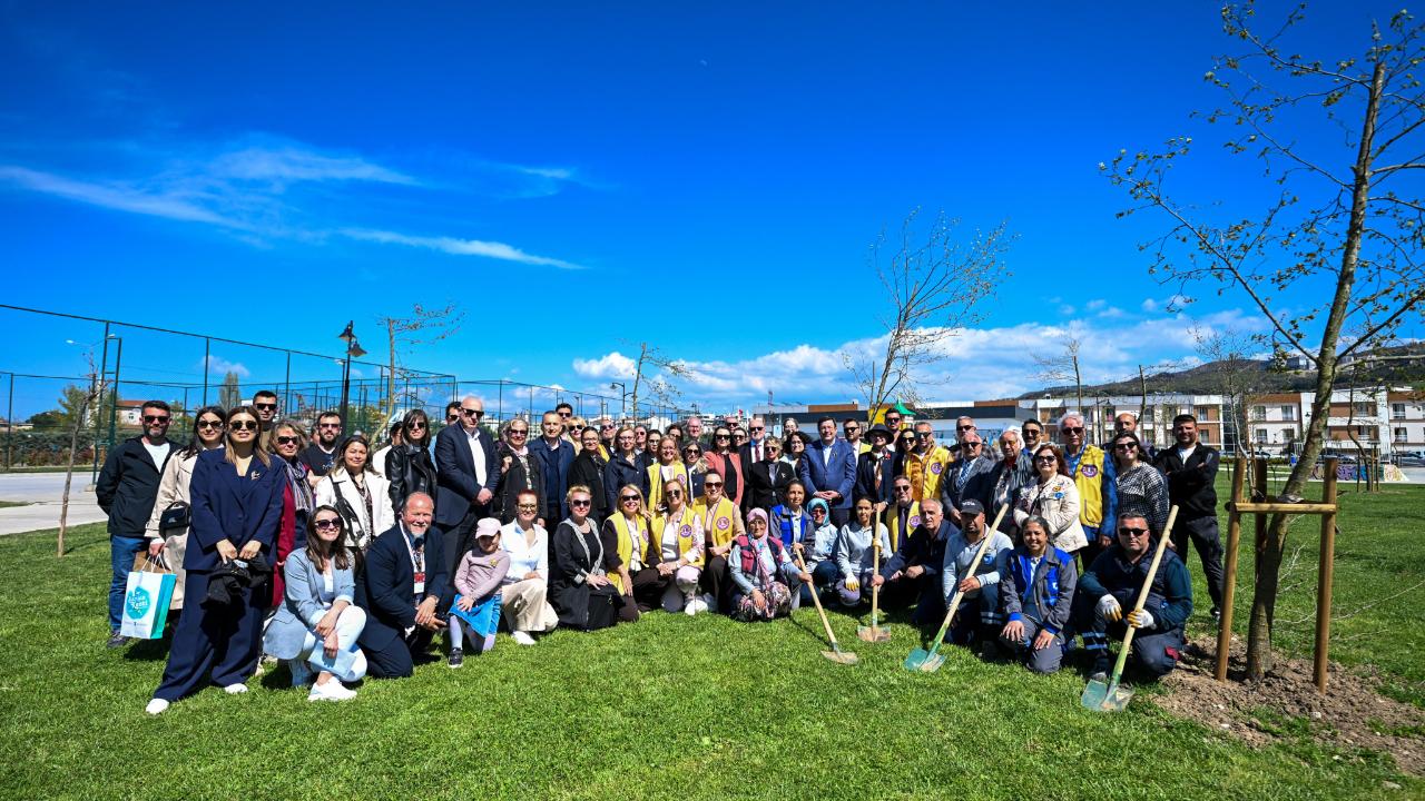 Çanakkale'de 118 ağaç toprakla buluştu