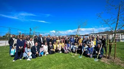 Çanakkale'de 118 ağaç toprakla buluştu