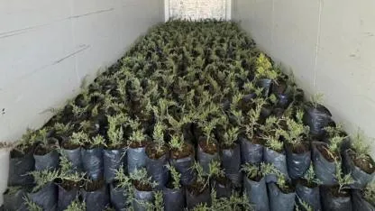 Çanakkale’den Azerbaycan’a Anlamlı Destek! 8 Bin 410 Fidan Yola Çıktı…