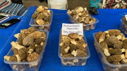 Cuma Pazarı’nda Fiyat Rekoru! Gramla Satılıyor, Fiyatını Gören Gözlerine İnanamıyor