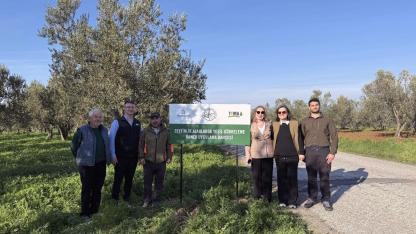 Ezine’de Zeytinliklere "Can Suyu": Toprağın Gücü Kuraklığa Meydan Okuyor!
