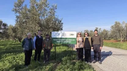 Ezine’de Zeytinliklere "Can Suyu": Toprağın Gücü Kuraklığa Meydan Okuyor!
