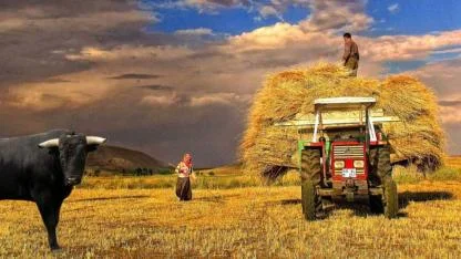 Kırsal Kalkınmada Yeni Dönem! Tarımda Yapay Zekâ ve %70’e Varan Hibe Desteği