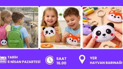 Lapseki’de minik eller sokak hayvanları için tasarlayacak!