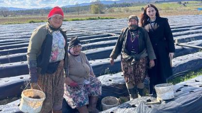 Kalkım'da çilek sezonu açıldı! Başkan Çelik üretici kadınlarla buluştu