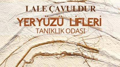 Kağıdın Belleğinde Doğanın Çığlığı: "Yeryüzü Lifleri: Tanıklık Odası" Çanakkale’de Açılıyor