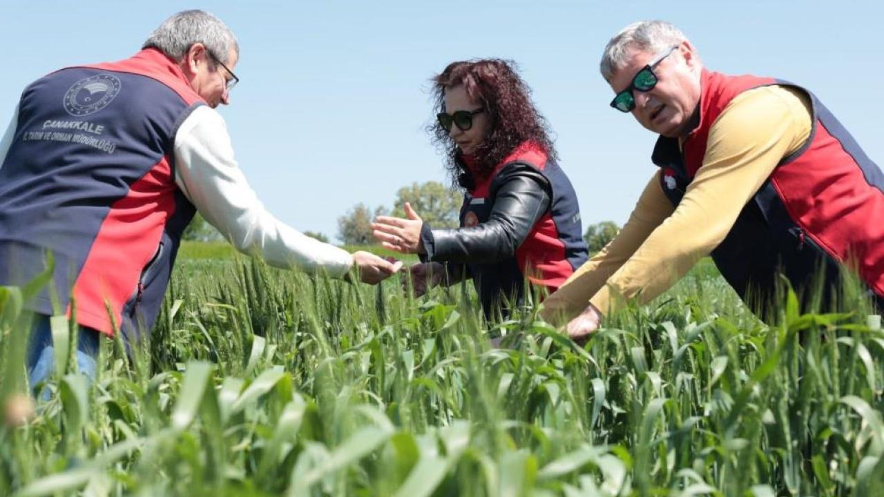 Tarımsal Üretimde Risklere Karşı Dijital Takip: Çanakkale’de Denetimler Sürüyor