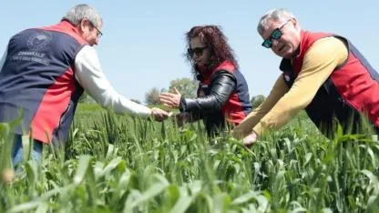 Tarımsal Üretimde Risklere Karşı Dijital Takip: Çanakkale’de Denetimler Sürüyor