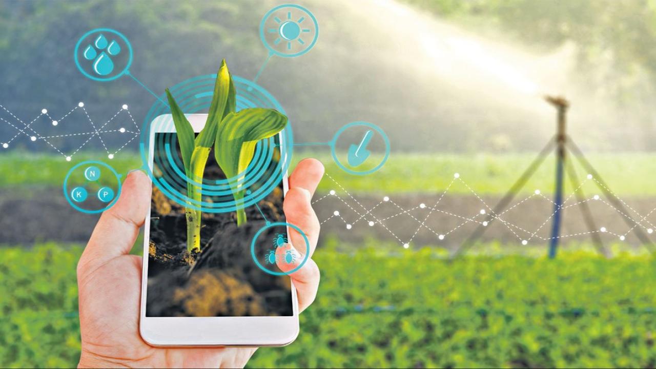 Tarım, Teknoloji ve Doğa Koruma… Hepsi Bu Kararda! İşte Yeni Düzenleme