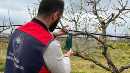 Üreticiler Dikkat: Çanakkale’de O Zararlı Yayılıyor, İlk Adım Atıldı