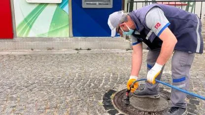 Bozcaada'da vektörlerle mücadele
