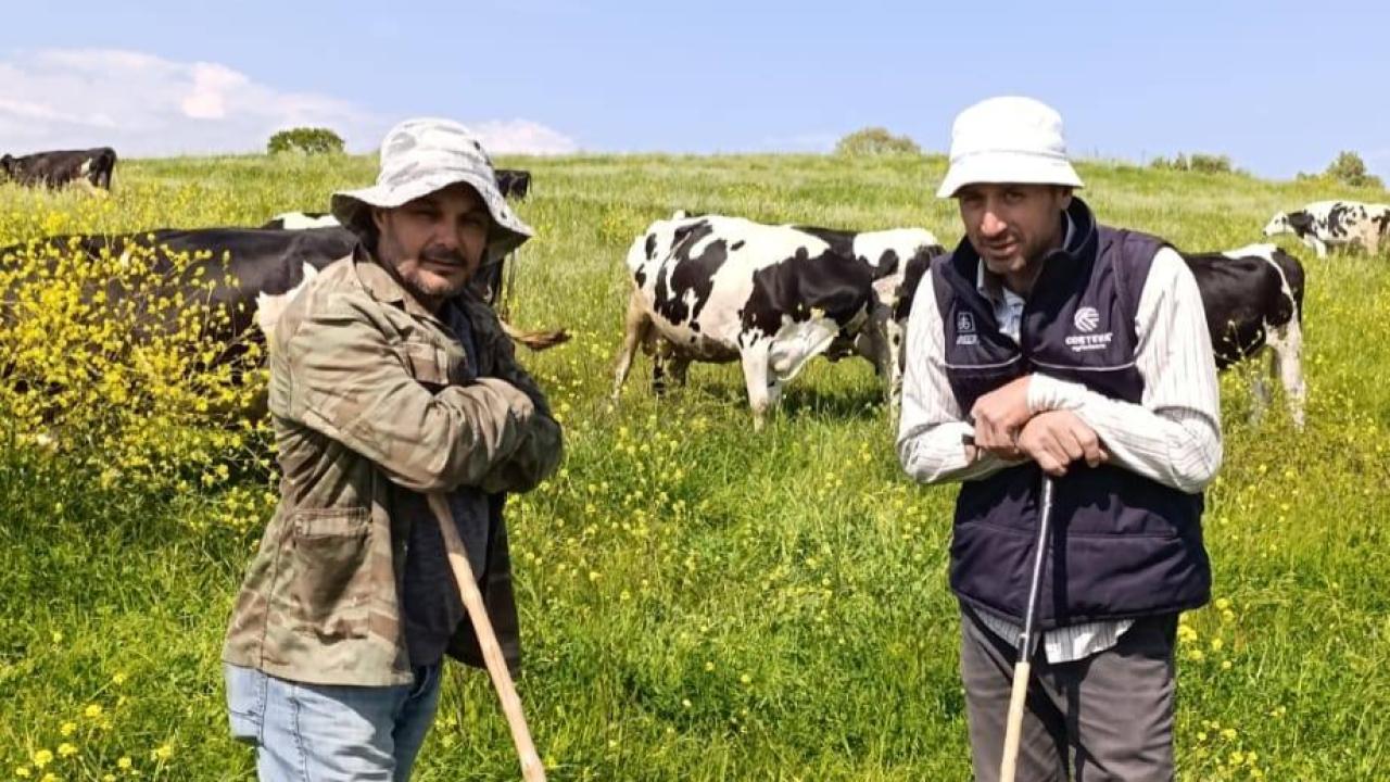 Çanakkale'de kış bitti, hayvanlar meraya kavuştu
