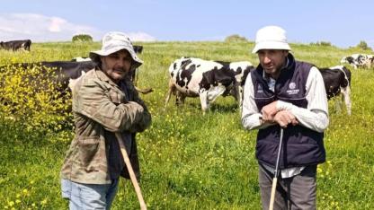 Çanakkale'de kış bitti, hayvanlar meraya kavuştu