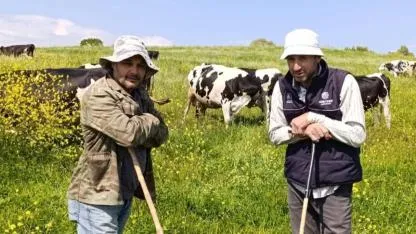 Çanakkale'de kış bitti, hayvanlar meraya kavuştu