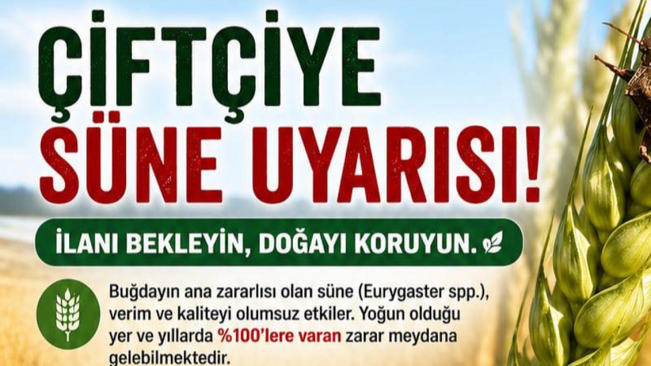 Otomatik Taslak