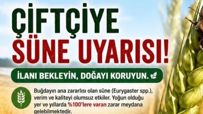 Çanakkale’de 500 Bin Dekar Alanda Süne Alarmı!
