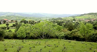 Cengiz'in Kazdağları'ndaki yeni hedefi Bayramiç' organik köyü...